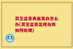 灵芝盆景表面发白怎么办(灵芝盆景出现白斑如何处理)