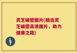 灵芝破壁图片(精选灵芝破壁高清图片，助力健康之路)