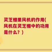 灵芝棚里风机的作用(风机在灵芝棚中的功用是什么？)