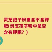灵芝孢子粉里含不含钾肥(灵芝孢子粉中是否含有钾肥？)