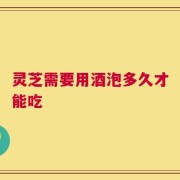 灵芝需要用酒泡多久才能吃