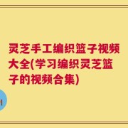 灵芝手工编织篮子视频大全(学习编织灵芝篮子的视频合集)