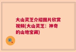 大山灵芝介绍图片欣赏视频(大山灵芝：神奇的山地宝藏)