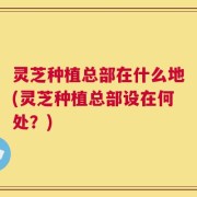 灵芝种植总部在什么地(灵芝种植总部设在何处？)