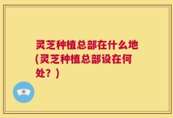 灵芝种植总部在什么地(灵芝种植总部设在何处？)