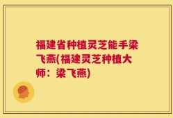 福建省种植灵芝能手梁飞燕(福建灵芝种植大师：梁飞燕)