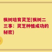 枫树培育灵芝(枫树二三事：灵芝种植成功的秘密)