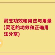 灵芝功效和用法与用量(灵芝的功效和正确用法分享)
