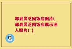 郏县灵芝园饭店图片(郏县灵芝园饭店展示迷人照片！)