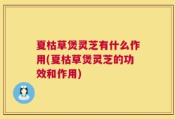 夏枯草煲灵芝有什么作用(夏枯草煲灵芝的功效和作用)
