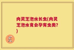 肉灵芝泡水长虫(肉灵芝泡水竟会孕育虫类？)