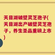 天目湖破壁灵芝孢子(天目湖出产破壁灵芝孢子，养生圣品重磅上市)