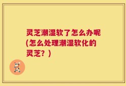 灵芝潮湿软了怎么办呢(怎么处理潮湿软化的灵芝？)
