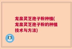 龙泉灵芝孢子粉种植(龙泉灵芝孢子粉的种植技术与方法)