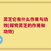灵芝它有什么作用与功效(探究灵芝的作用和功效)