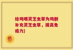 给鸡喂灵芝虫草为鸡群补充灵芝虫草，提高免疫力)