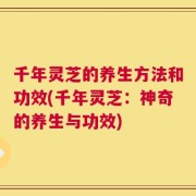 千年灵芝的养生方法和功效(千年灵芝：神奇的养生与功效)