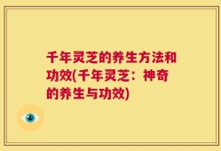 千年灵芝的养生方法和功效(千年灵芝：神奇的养生与功效)