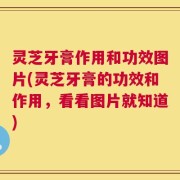 灵芝牙膏作用和功效图片(灵芝牙膏的功效和作用，看看图片就知道)