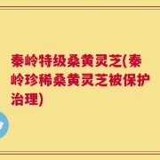 秦岭特级桑黄灵芝(秦岭珍稀桑黄灵芝被保护治理)