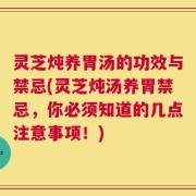 灵芝炖养胃汤的功效与禁忌(灵芝炖汤养胃禁忌，你必须知道的几点注意事项！)