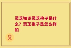 灵芝知识灵芝孢子是什么？灵芝孢子是怎么样的