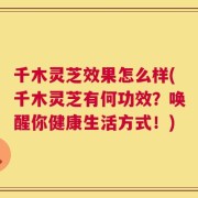 千木灵芝效果怎么样(千木灵芝有何功效？唤醒你健康生活方式！)