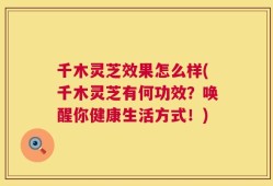 千木灵芝效果怎么样(千木灵芝有何功效？唤醒你健康生活方式！)