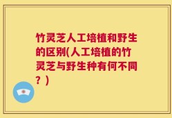 竹灵芝人工培植和野生的区别(人工培植的竹灵芝与野生种有何不同？)