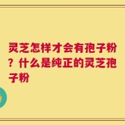灵芝怎样才会有孢子粉？什么是纯正的灵芝孢子粉