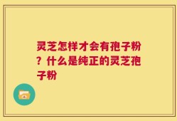 灵芝怎样才会有孢子粉？什么是纯正的灵芝孢子粉