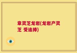 章灵芝龙岩(龙岩产灵芝 受追捧)