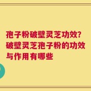 孢子粉破壁灵芝功效？破壁灵芝孢子粉的功效与作用有哪些
