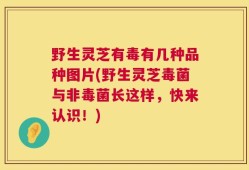 野生灵芝有毒有几种品种图片(野生灵芝毒菌与非毒菌长这样，快来认识！)