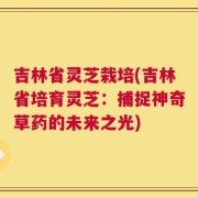 吉林省灵芝栽培(吉林省培育灵芝：捕捉神奇草药的未来之光)