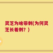 灵芝为啥带刺(为何灵芝长着刺？)