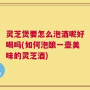 灵芝煲要怎么泡酒呢好喝吗(如何泡酿一壶美味的灵芝酒)