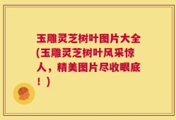 玉雕灵芝树叶图片大全(玉雕灵芝树叶风采惊人，精美图片尽收眼底！)