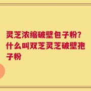 灵芝浓缩破壁包子粉？什么叫双芝灵芝破壁孢子粉