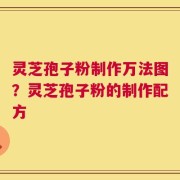 灵芝孢子粉制作万法图？灵芝孢子粉的制作配方