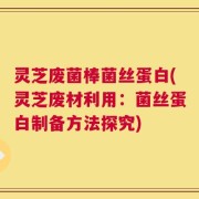 灵芝废菌棒菌丝蛋白(灵芝废材利用：菌丝蛋白制备方法探究)