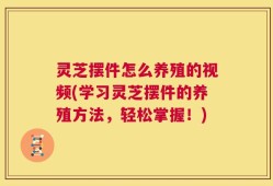 灵芝摆件怎么养殖的视频(学习灵芝摆件的养殖方法，轻松掌握！)
