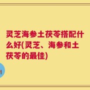 灵芝海参土茯苓搭配什么好(灵芝、海参和土茯苓的最佳)