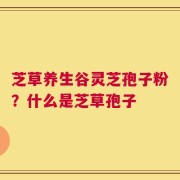 芝草养生谷灵芝孢子粉？什么是芝草孢子