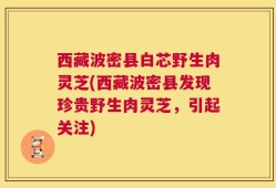 西藏波密县白芯野生肉灵芝(西藏波密县发现珍贵野生肉灵芝，引起关注)