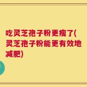 吃灵芝孢子粉更瘦了(灵芝孢子粉能更有效地减肥)