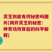灵芝到底有何秘密吗图片(揭开灵芝的秘密：神奇功效背后的科学解释)