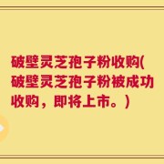 破壁灵芝孢子粉收购(破壁灵芝孢子粉被成功收购，即将上市。)