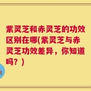 紫灵芝和赤灵芝的功效区别在哪(紫灵芝与赤灵芝功效差异，你知道吗？)