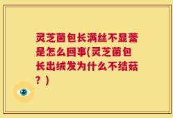 灵芝菌包长满丝不显蕾是怎么回事(灵芝菌包长出绒发为什么不结菇？)